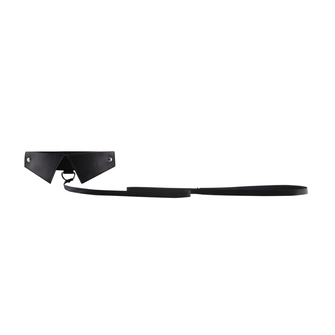 Exclusive Collar  Leash