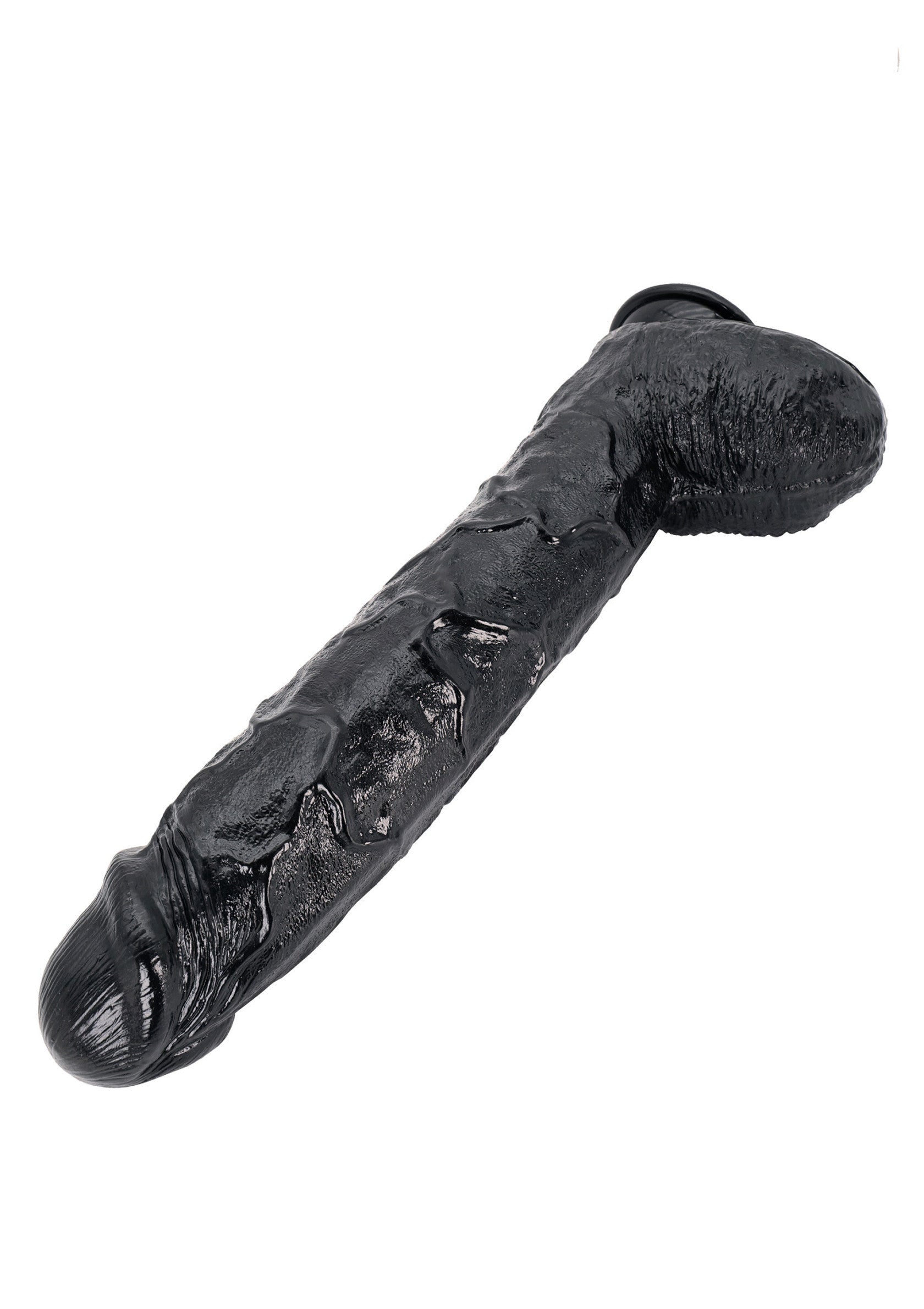 Dong 43 cm